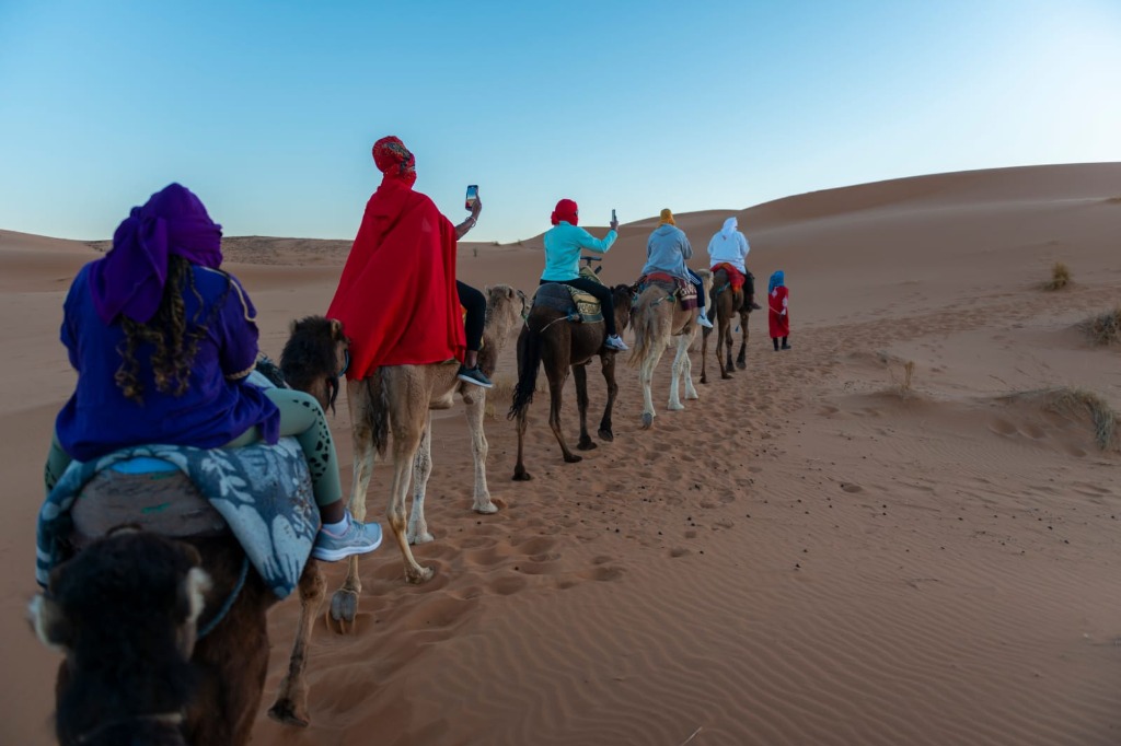 Camel caravan trekking through desert dunes